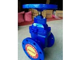 Z45T-10暗桿楔式閘閥 防護(hù)閥